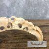 Carved Warthog Tooth Safari Decor For Sale - Image 5