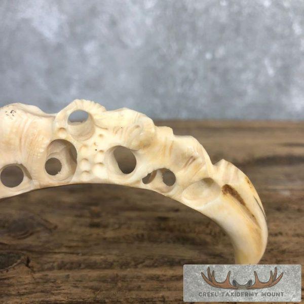 Carved Warthog Tooth Safari Decor For Sale - Image 5