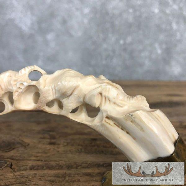 Carved Warthog Tooth Safari Decor For Sale - Image 6