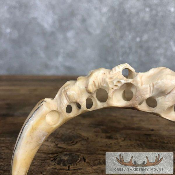 Carved Warthog Tooth Safari Decor For Sale - Image 7