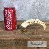 Carved Warthog Tooth Safari Decor For Sale - Image 3