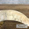 Carved Warthog Tooth Safari Decor For Sale - Image 4
