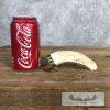 Carved Warthog Tooth Safari Decor For Sale - Image 3