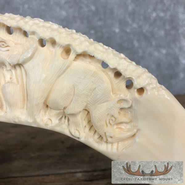 Carved Hippopotamus Tooth Safari Decor For Sale - Image 9