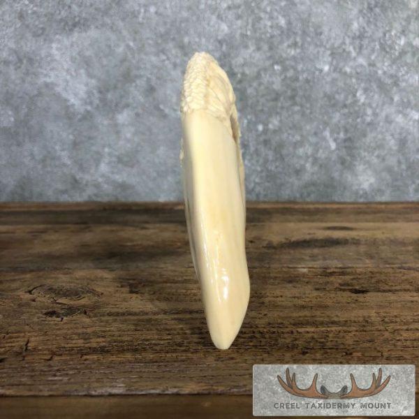 Carved Hippopotamus Tooth Safari Decor For Sale - Image 11