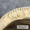 Carved Hippopotamus Tooth Safari Decor For Sale - Image 4