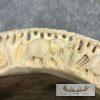 Carved Hippopotamus Tooth Safari Decor For Sale - Image 5