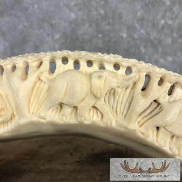 Carved Hippopotamus Tooth Safari Decor For Sale - Image 5