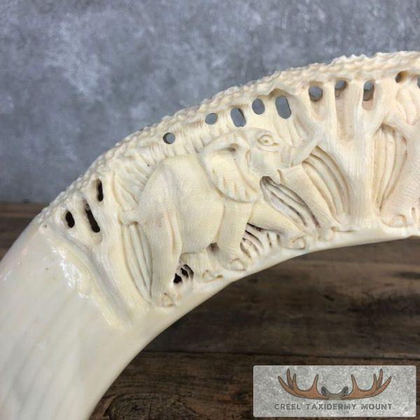 Carved Hippopotamus Tooth Safari Decor For Sale - Image 7