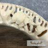 Carved Hippopotamus Tooth Safari Decor For Sale - Image 9