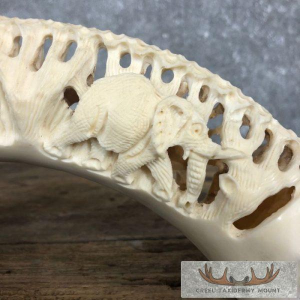 Carved Hippopotamus Tooth Safari Decor For Sale - Image 9