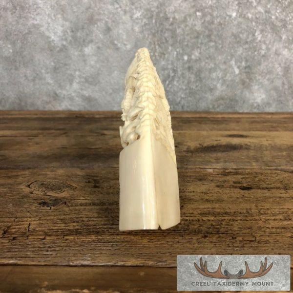 Carved Hippopotamus Tooth Safari Decor For Sale - Image 10