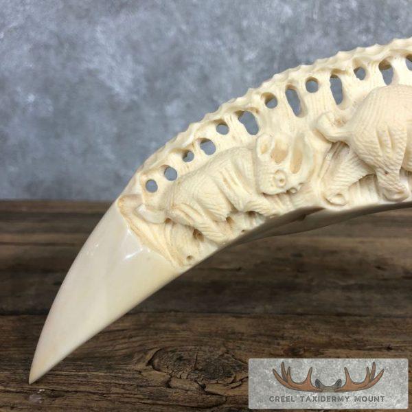 Carved Hippopotamus Tooth Safari Decor For Sale - Image 7