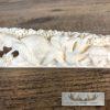 Carved Hippopotamus Tooth Safari Decor For Sale - Image 5