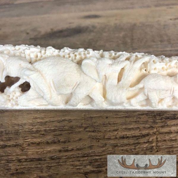 Carved Hippopotamus Tooth Safari Decor For Sale - Image 5