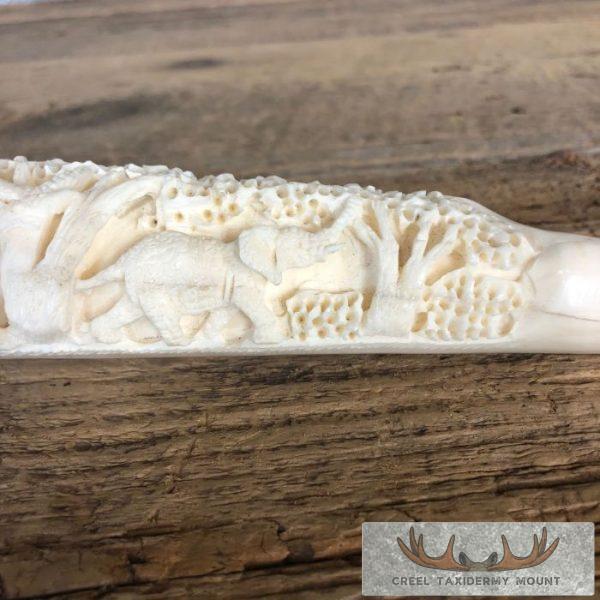 Carved Hippopotamus Tooth Safari Decor For Sale - Image 6