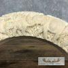 Carved Hippopotamus Tooth Safari Decor For Sale - Image 9