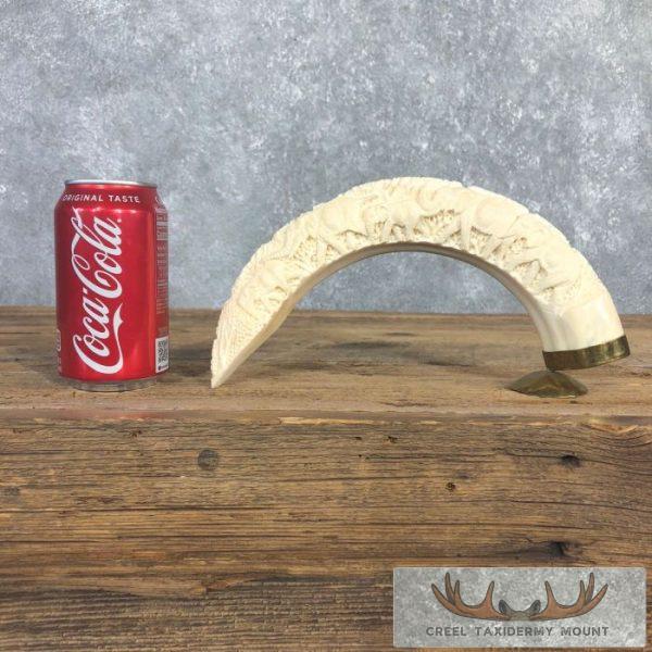 Carved Hippopotamus Tooth Safari Decor For Sale - Image 3
