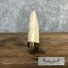 Carved Hippopotamus Tooth Safari Decor For Sale - Image 11