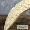 Carved Hippopotamus Tooth Safari Decor For Sale - Image 7