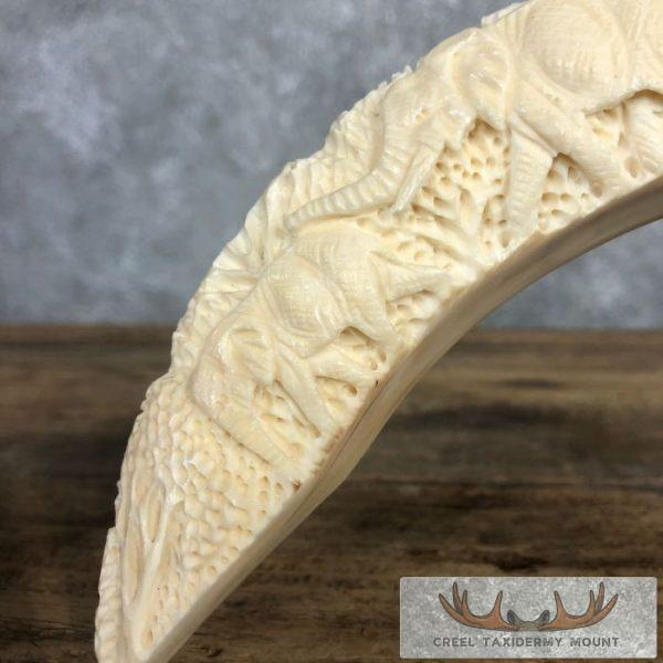 Carved Hippopotamus Tooth Safari Decor For Sale - Image 7