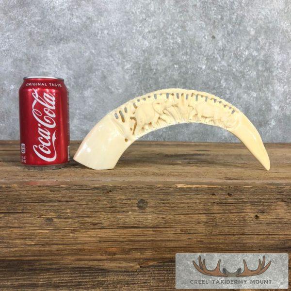 Carved Hippopotamus Tooth Taxidermy Mount For Sale - Image 3