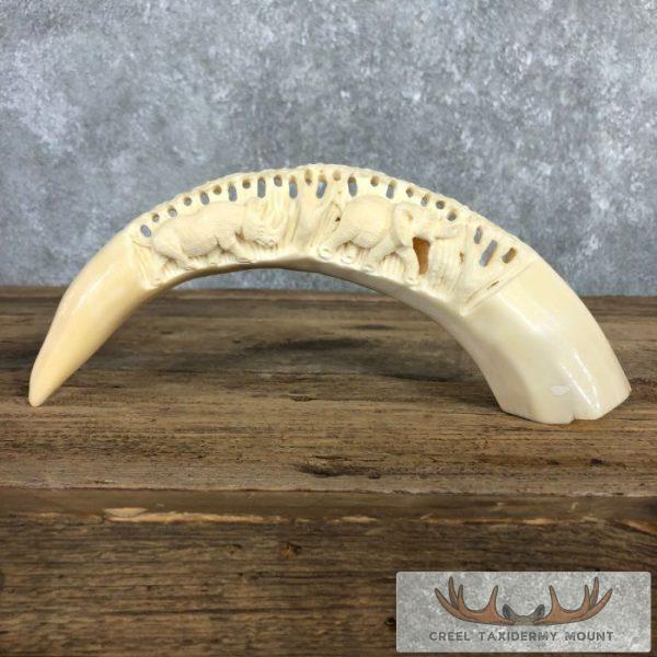 Carved Hippopotamus Tooth Taxidermy Mount For Sale - Image 10