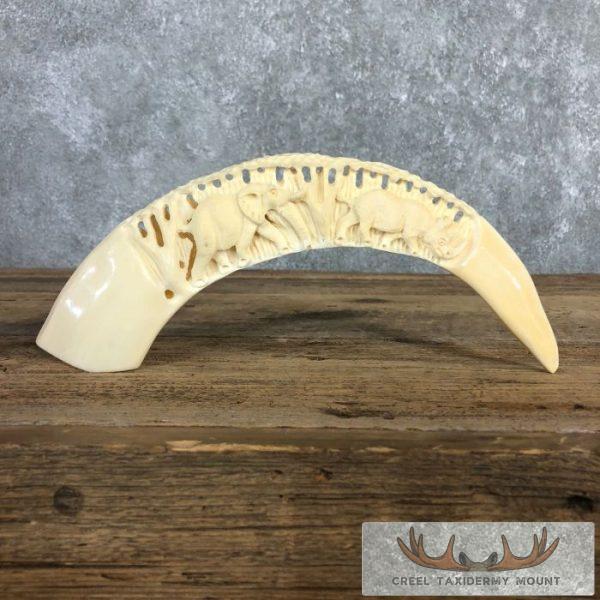 Carved Hippopotamus Tooth Taxidermy Mount For Sale - Image 2