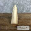 Carved Hippopotamus Tooth Taxidermy Mount For Sale - Image 9