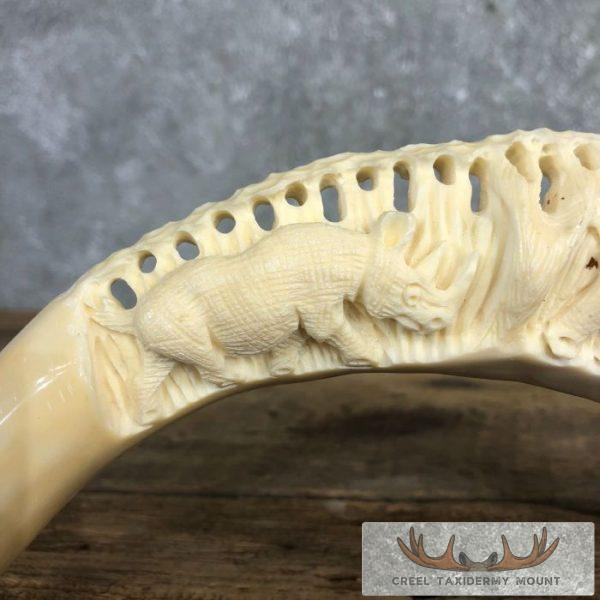 Carved Hippopotamus Tooth Taxidermy Mount For Sale - Image 4