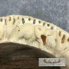 Carved Hippopotamus Tooth Taxidermy Mount For Sale - Image 6