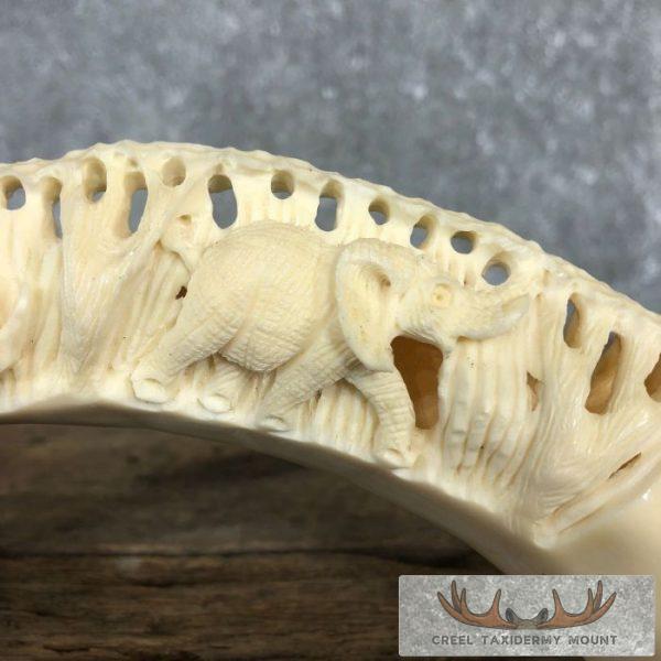 Carved Hippopotamus Tooth Taxidermy Mount For Sale - Image 6