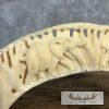 Carved Hippopotamus Tooth Taxidermy Mount For Sale - Image 7
