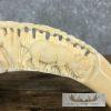 Carved Hippopotamus Tooth Taxidermy Mount For Sale - Image 8
