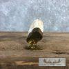 Carved Warthog Tooth Safari Decor For Sale - Image 7