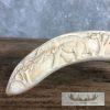 Carved Warthog Tooth Safari Decor For Sale - Image 4