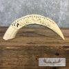 Carved Hippopotamus Tooth Taxidermy Mount For Sale - Image 3