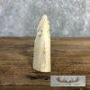 Carved Hippopotamus Tooth Taxidermy Mount For Sale - Image 10