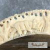 Carved Hippopotamus Tooth Taxidermy Mount For Sale - Image 5