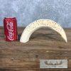 Carved Hippopotamus Tooth Safari Decor For Sale - Image 3