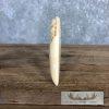 Carved Hippopotamus Tooth Safari Decor For Sale - Image 9