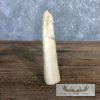 Carved Hippopotamus Tooth Safari Decor For Sale - Image 10