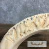 Carved Hippopotamus Tooth Safari Decor For Sale - Image 6