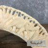Carved Hippopotamus Tooth Safari Decor For Sale - Image 9
