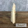 Carved Hippopotamus Tooth Safari Decor For Sale - Image 11