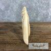 Carved Hippopotamus Tooth Safari Decor For Sale - Image 10