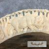 Carved Hippopotamus Tooth Safari Decor For Sale - Image 8
