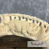 Carved Hippopotamus Tooth Taxidermy Mount For Sale - Image 5