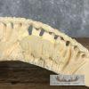 Carved Hippopotamus Tooth Taxidermy Mount For Sale - Image 7