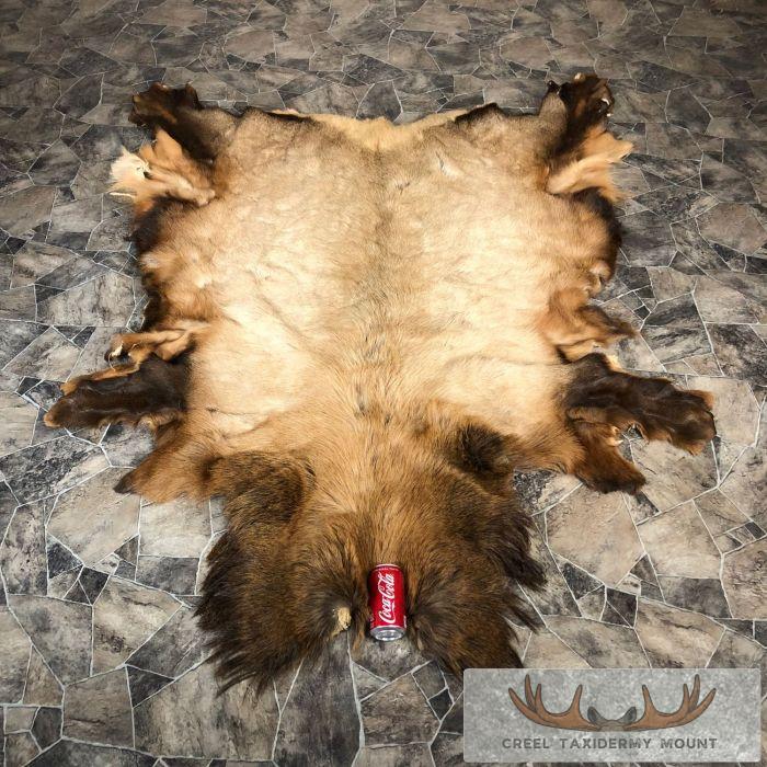 Elk Hide Taxidermy Hide For Sale - Image 3